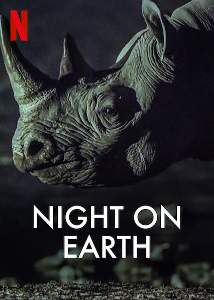 Night on Earth. Image via IMDB.