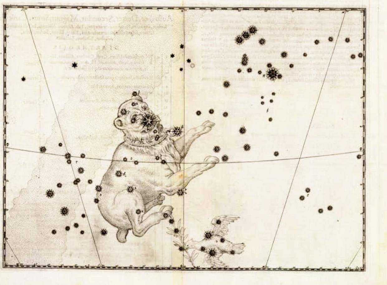 Lámina 38 de la _Uranometria_ de Johann Bayer, 1603. Representa el Can Mayor, con Sirio como estrella más destacada. Véase el cinturón de Orión arriba a la derecha. Johann Bayer, Uranometria (1603)