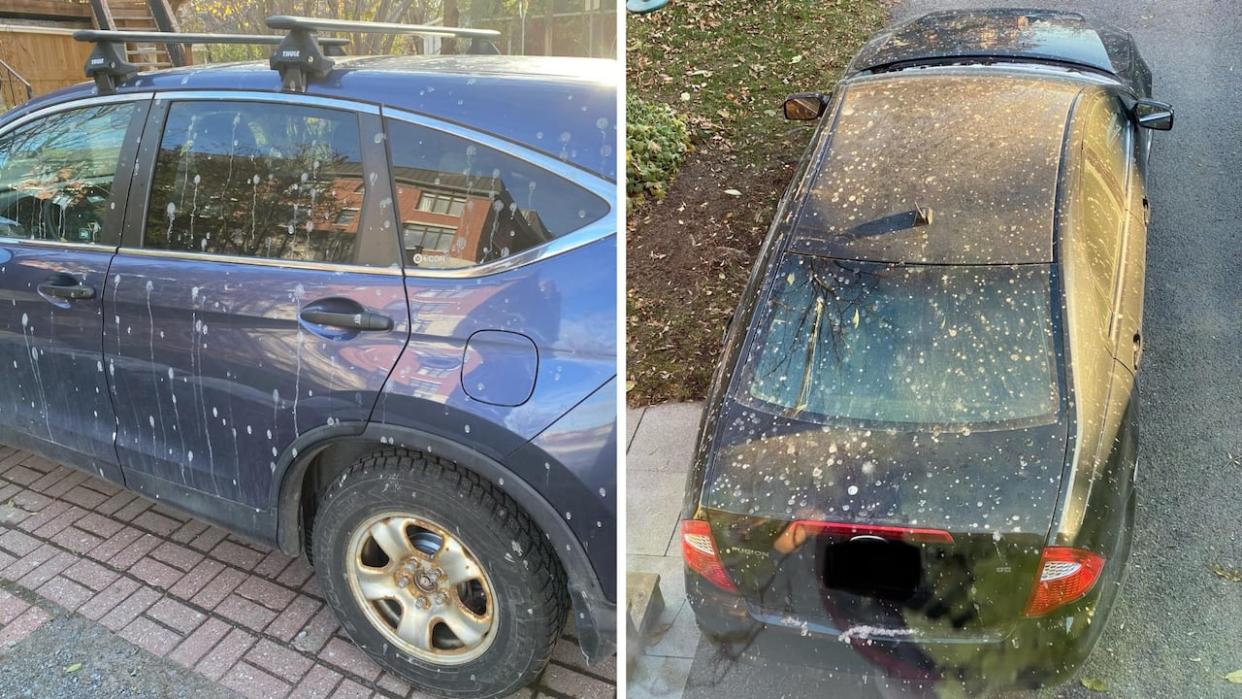 James Hayes took these photos of his car, which was splattered with construction material in the driveway of his home. (James Hayes/Submitted - image credit)