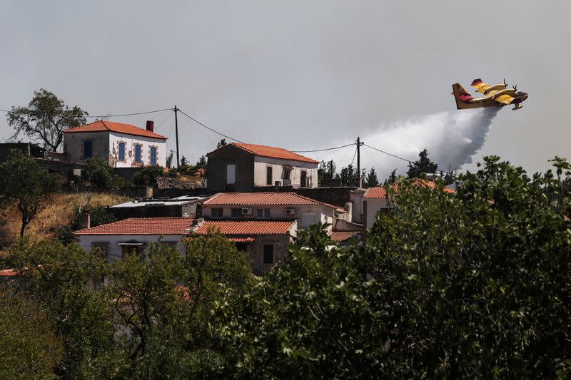 Wildfire on the island of Lesbos