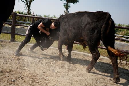 Bullfighter Ren Ruzhi, 24, fights with a bull during a practice session at the Haihua Kung-fu School in Jiaxing, Zhejiang province, China October 27, 2018. REUTERS/Aly Song