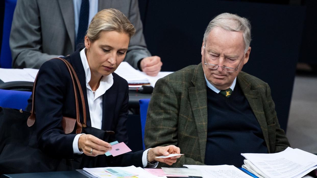 Beide «Wessis»: die AfD-Fraktionsvorsitzenden Alice Weidel und Alexander Gauland. Froto: Bernd von Jutrczenka