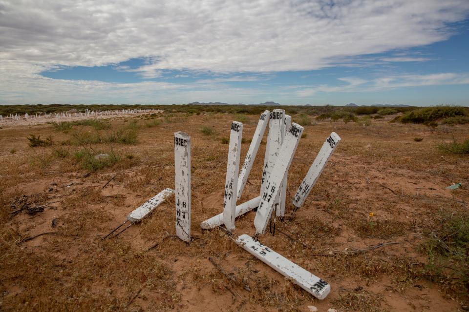 Stakes stand just to the side of a common grave at the San Rafael Municipal Cemetery in Juárez. The cemetery has added another plot of and for common graves such as this one, just south of the original common grave.