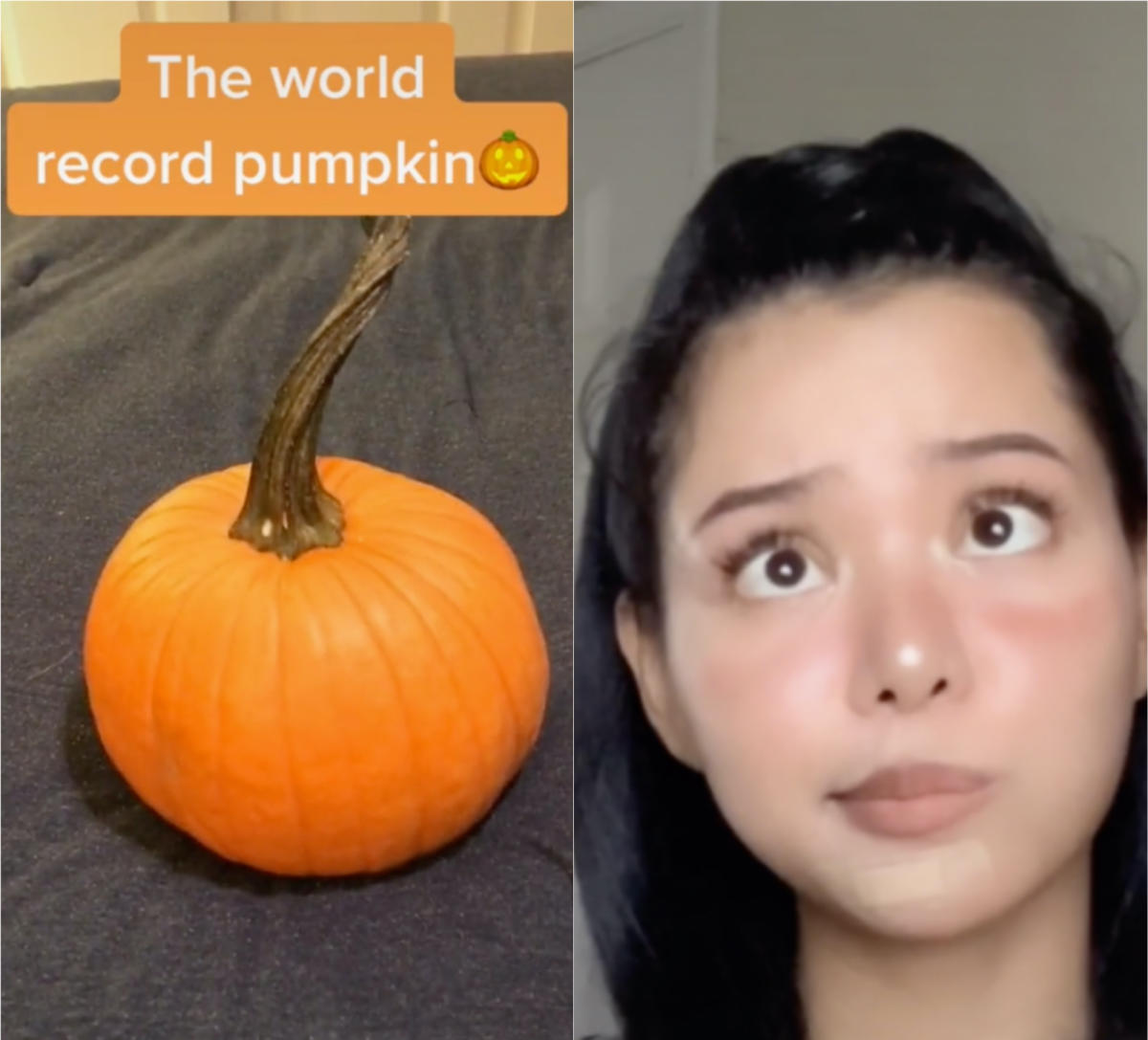 A TikToker is trying to beat Bella Porch’s TikTok likes record with a pumpkin video