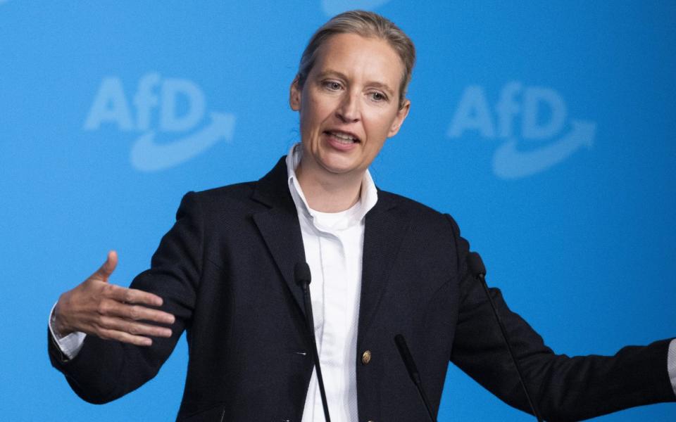 Alice Weidel