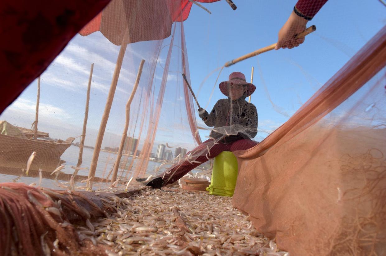 Establishing the financial worth of a river's fish is complicated when many people don't sell the fish they catch. <a href="https://www.gettyimages.com/detail/news-photo/this-photo-taken-on-january-5-2018-shows-women-removing-news-photo/902376180" rel="nofollow noopener" target="_blank" data-ylk="slk:Tang Chhin Sothy/AFP via Getty Images;elm:context_link;itc:0;sec:content-canvas" class="link ">Tang Chhin Sothy/AFP via Getty Images</a>