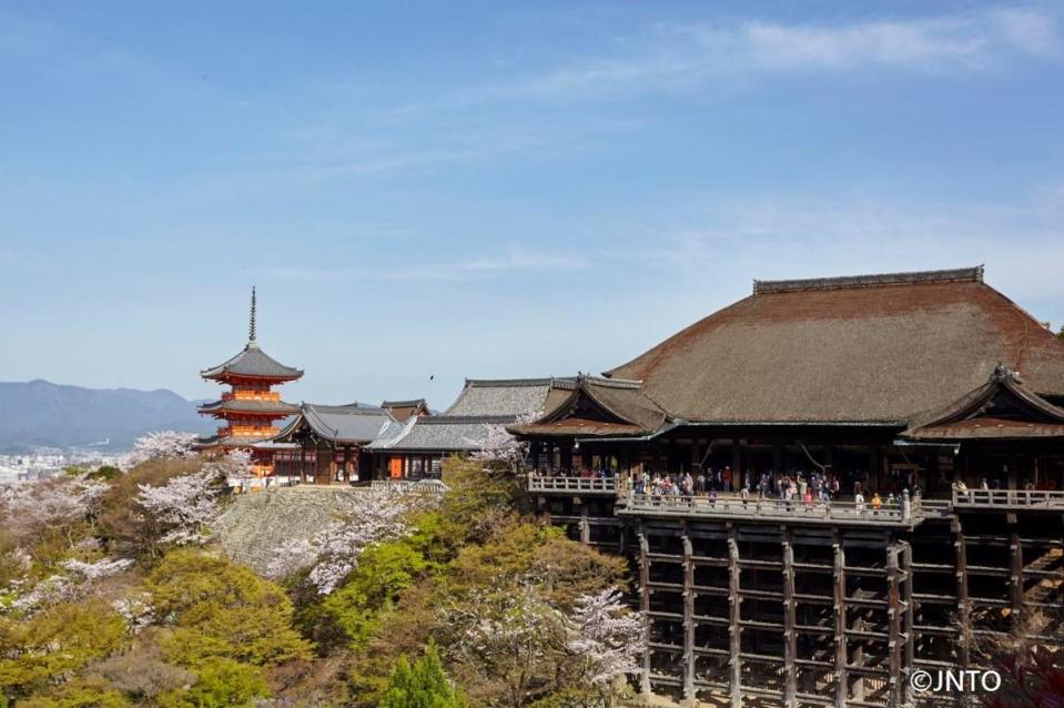 京都清水寺，也是重要賞櫻地點。