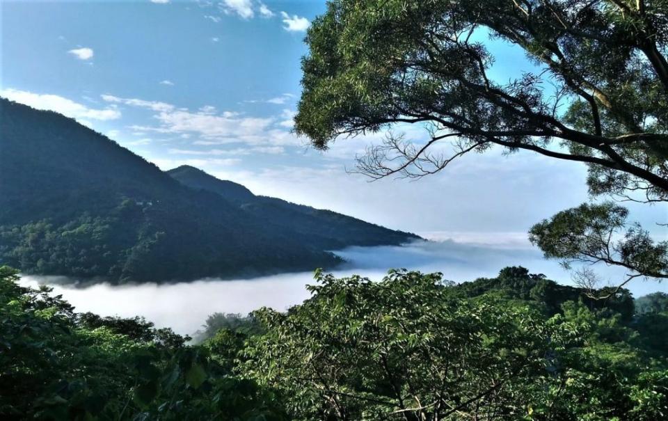 一七五咖啡大道處處可見山林美景。（農業局提供）