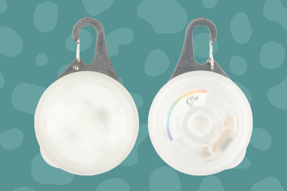 front and back of a dog collar light