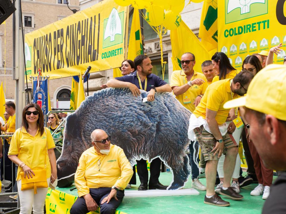 Demonstration in Rome organized by Coldiretti to denounce a national emergency due to the spread of swine fever and the invasion of wild boars that put pig farms in Italy at risk.