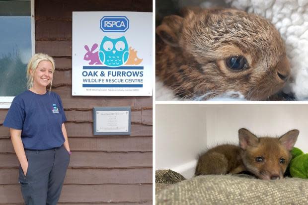 New manager Rachel Morrell with some of the animals rescued at Oak and Furrows