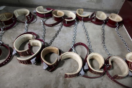 Leg shackles for detainees are seen on the floor at the Camp 6 detention center at the U.S. Naval Base in Guantanamo Bay, Cuba in this January 21, 2009 file photo reviewed by the U.S. Military. To match Special Report USA-GITMO/RELEASE REUTERS/Brennan Linsley/Pool/Files