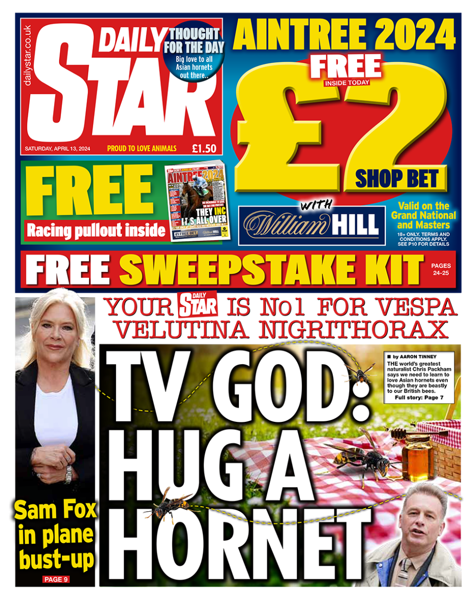 Daily Star headline reads: "TV God: Hug a Hornet"