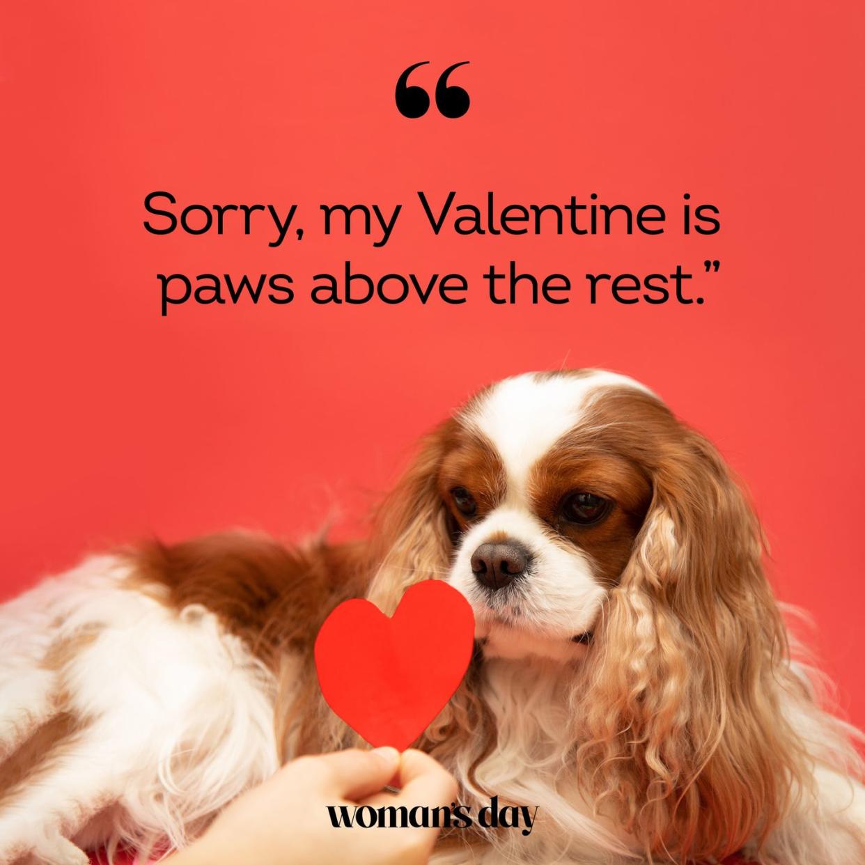 best valentine's day instagram captions