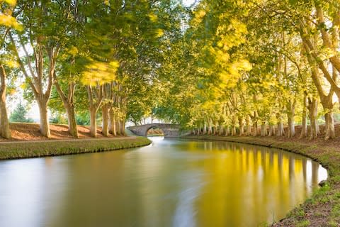 The Canal du Midi, a great spot for a "flocation" - Credit: getty