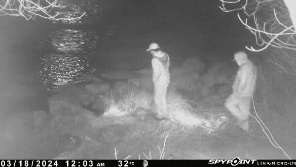 Motion-activated trail camera images are once again being sent to officials with the Department of Fisheries and Oceans by a Nova Scotia commercial elver license holder who says they show poachers caught in the act just after midnight on Monday.  (Atlantic Elver images - image credit)