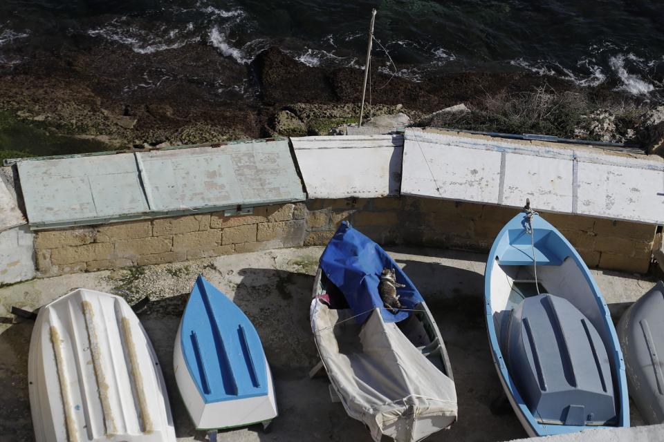 A cat naps on a boat in Valletta, Malta, Thursday, Feb. 2, 2017. European heads of state will meet in Malta on Friday for an informal summit to discuss migration and the future of the EU. (AP Photo/Gregorio Borgia)