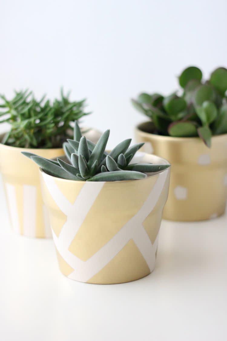 Gilded Succulent Pots