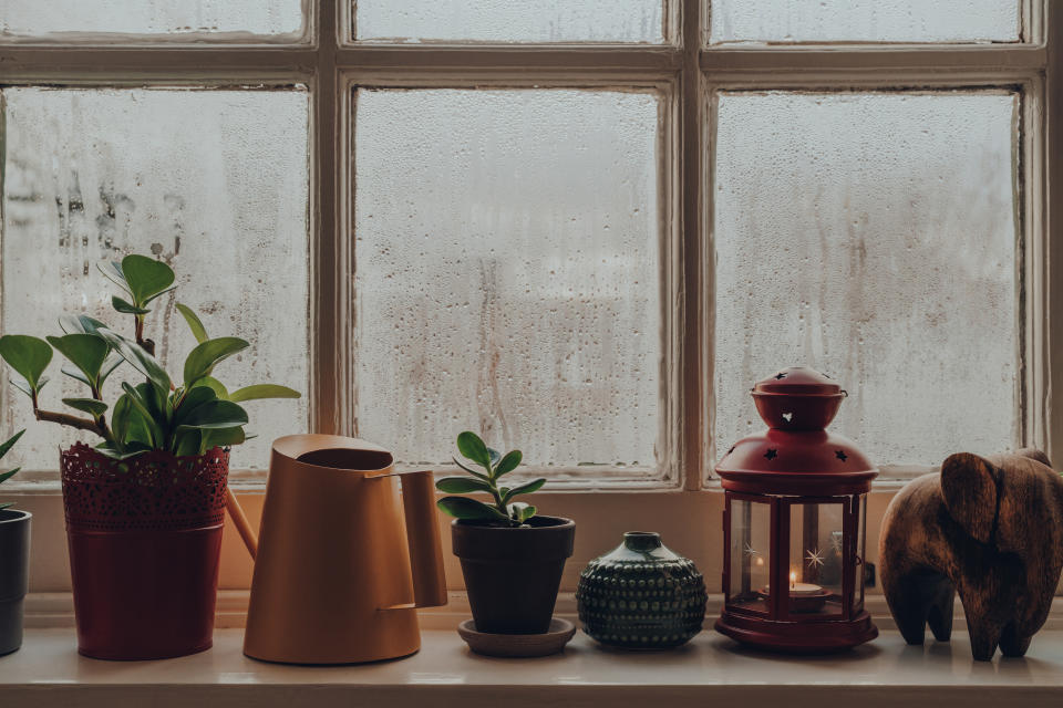 You don't have to put up with condensation inside your windows, a dehumidifier can help remedy the problem (stock, Getty Images).