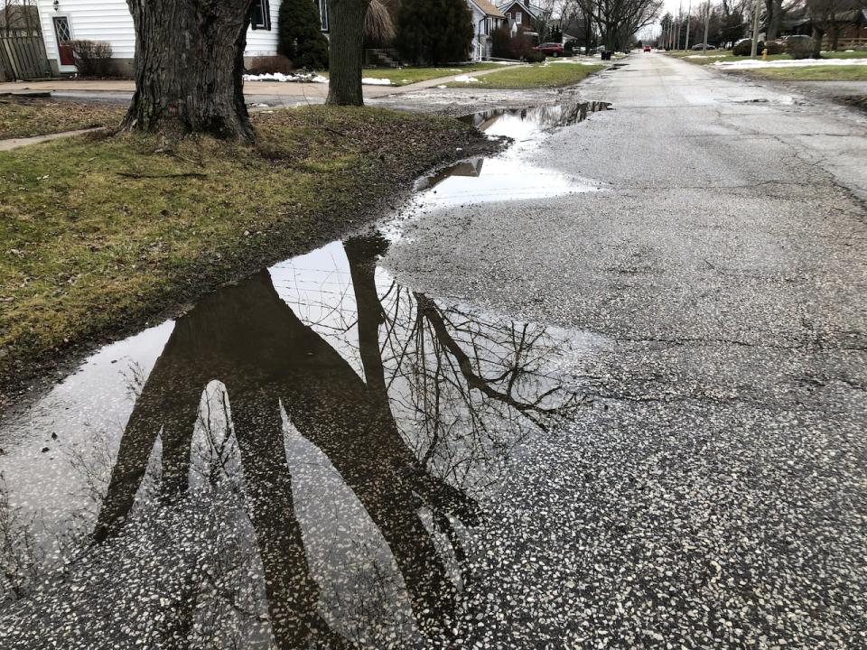 Water covering a pothole on Jarvis Avenue in Windsor. Lifelong resident Chris Jacobson says the lack of visibility of the road makes it dangerous to drive on.