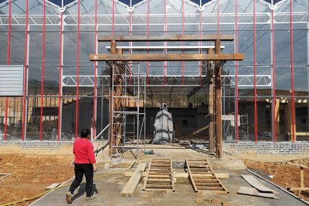 A woman walks at the construction site of a 'red tourism' attraction featuring Chinese Communism, in Shazhou village, Rucheng county, Hunan province, China December 3, 2018. Picture taken December 3, 2018. REUTERS/Shu Zhang