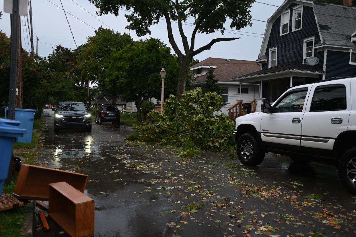 Fallen trees and a downed wires seen Tuesday, Aug. 27, 2024, near Eureka and Clifford Streets in Lansing.