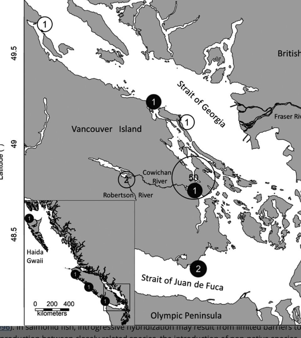 Locations of Chinook–Coho hybrid captures. Empty circles indicate juveniles and full circles, adults (Fisheries and Oceans Canada)