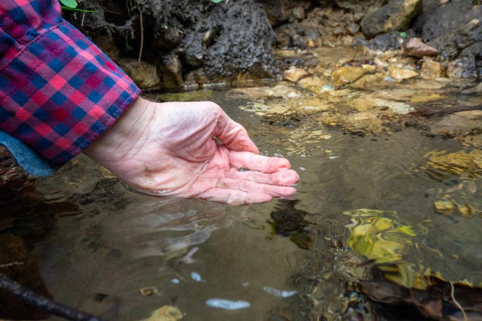 Jeff Broberg examines water from a spring April 11 near Altura, Minnesota. The retired geologist says, “I wouldn’t drink this water,” because of the nitrates and pesticides in it.