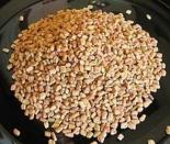 <div class="caption-credit"> Photo by: ThinkStock</div><div class="caption-title">The Seeds of Good Bone Health</div>All seeds are good sources of magnesium, a key nutrient in bone health. Pumpkin seeds are the top contender but flax seeds, sesame seeds, and sunflower seeds are all good options and they give you lots of vitamins in the bargain. Sprinkle seeds on salads, roast them for snacks, or add them to recipes for a flavorful way to help keep your bones in good condition.