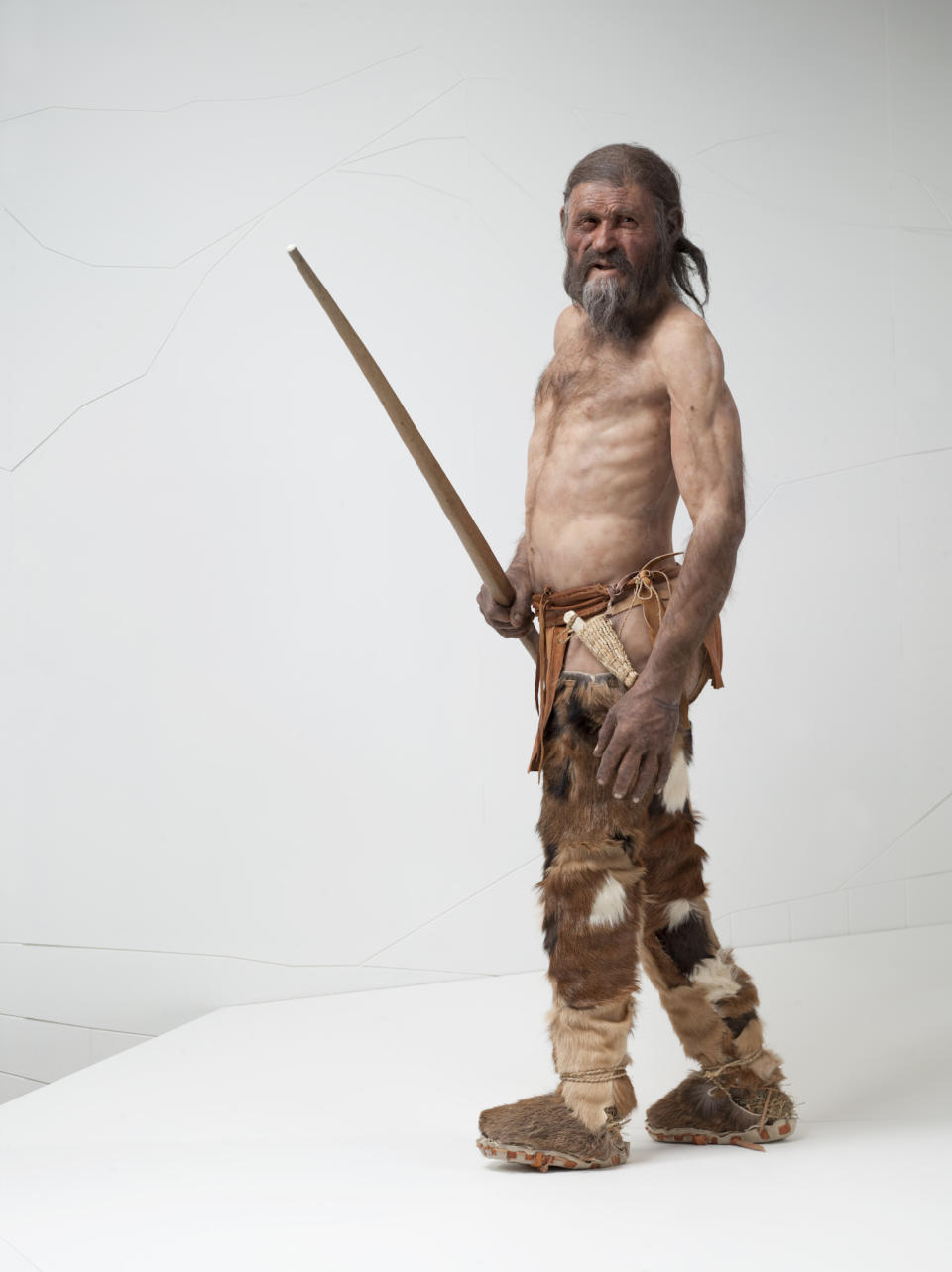 This photo provided by the South Tyrol Museum of Archaeology shows a reconstruction of "Oetzi the Iceman" sculpted by Alfons & Adrie Kennis. Decades after he was discovered in the Italian Alps, scientists determined that Oetzi was mostly descended from farmers from present day Turkey, and his head was balder and skin darker than what was initially thought, according to a study published Wednesday, Aug. 16, 2023, in the journal Cell Genomics. (South Tyrol Museum of Archaeology/Ochsenreiter via AP)