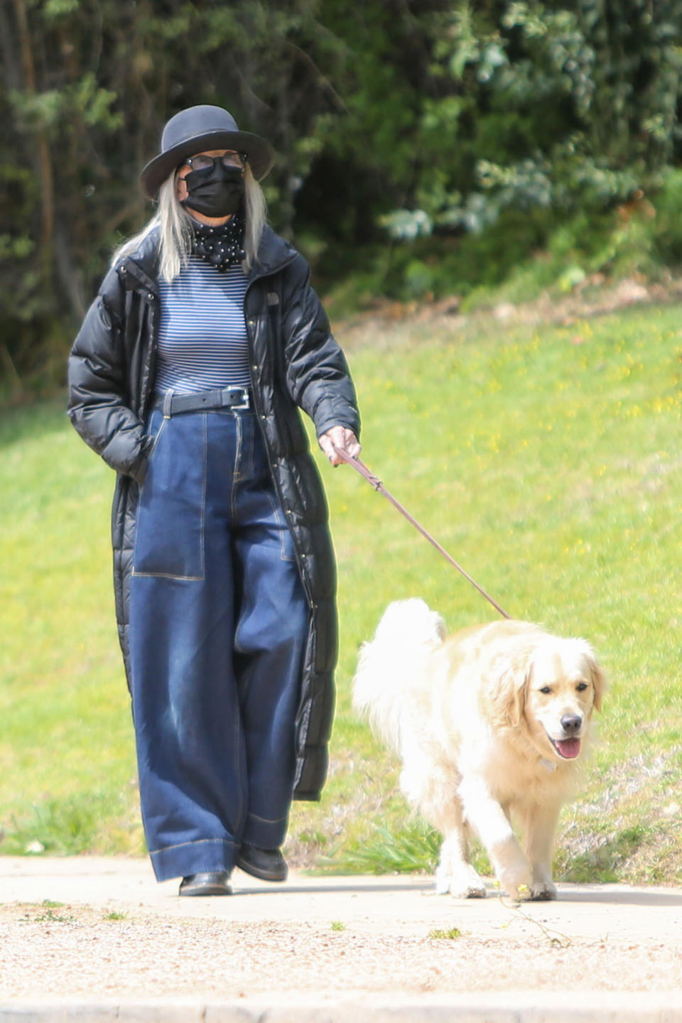 <p>Diane Keaton was spotted walking her dog in Los Angeles.</p>