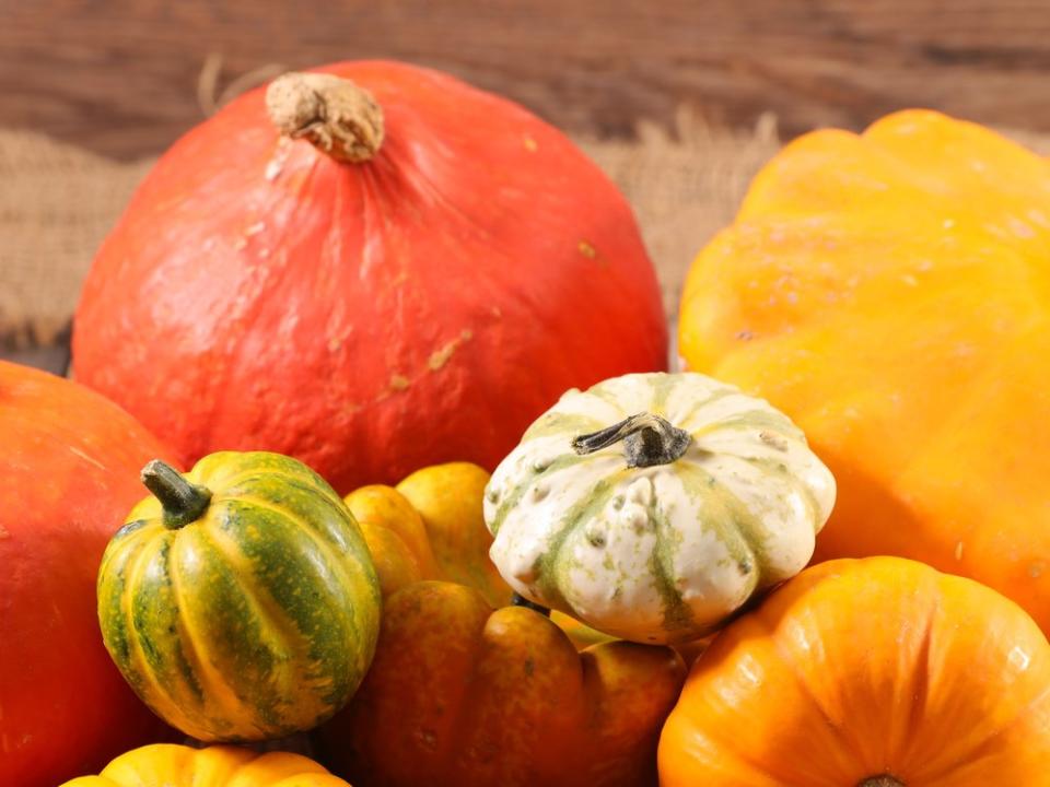 Kürbisse haben im Herbst Saison und landen bei vielen regelmäßig auf dem Tisch. (Bild: Chatham172/Shutterstock.com)