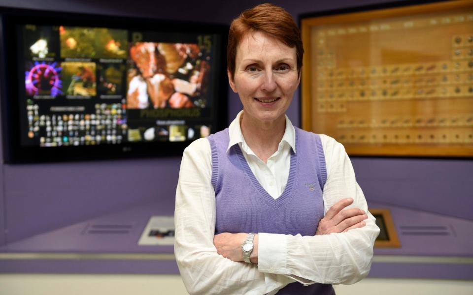 Helen Sharman became the first Briton in space in 1991 - Julian Simmonds