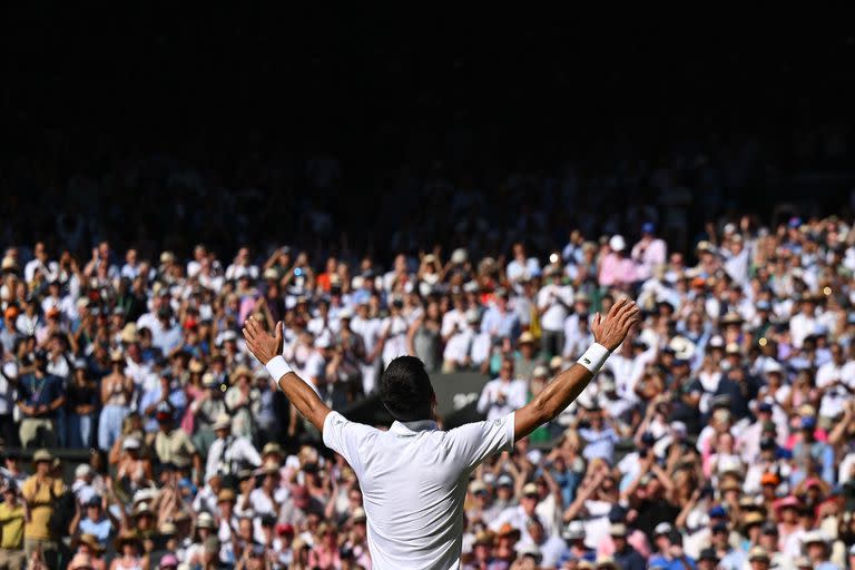 El centre court de Wimbledon se rindió ante el poderío del serbio Novak Djokovic, campeón por séptima vez en el césped británico.