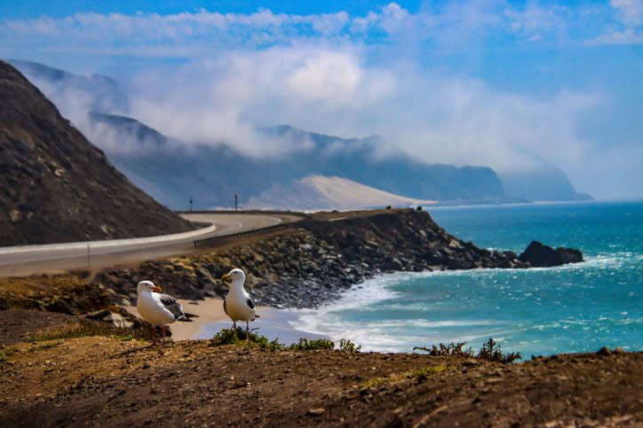 Pacific Coast Highway Landscape