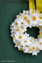 <p>After a few simple folds and snips, these DIY paper daffodils will basically come to life, giving you the spring-centric wreath of your dreams. Just make sure it's covered so it doesn't get dirty.</p><p><a class="link " href="https://www.amazon.com/Colorations-BRITESTK-Bright-Construction-Paper/dp/B00826ENU2/ref=sr_1_1_sspa?tag=syn-yahoo-20&ascsubtag=%5Bartid%7C10057.g.3261%5Bsrc%7Cyahoo-us" rel="nofollow noopener" target="_blank" data-ylk="slk:Shop Now;elm:context_link;itc:0;sec:content-canvas">Shop Now</a></p>