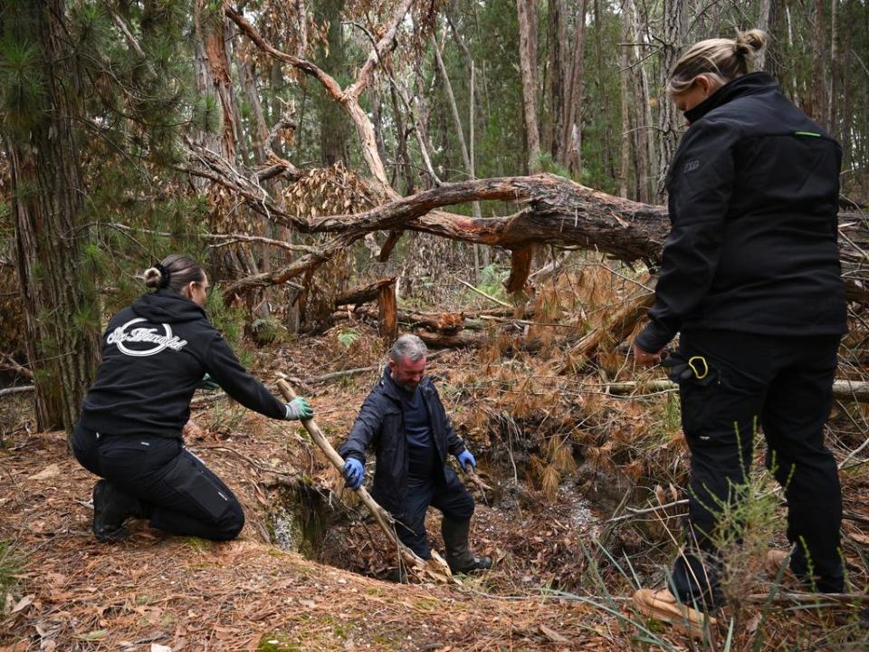 BALLARAT, AUSTRALIA - NCA NewsWire Photos - APRIL 11th, 2024: Police use a cadaver dog during the search for the body of missing woman Samantha Murphy in near Enfield State Park in Ballarat.. Murphy was last seen leaving her home to go for a run in the Canadian State Forest on the morning of February 4. Picture: NCA NewsWire / Joel Carrett