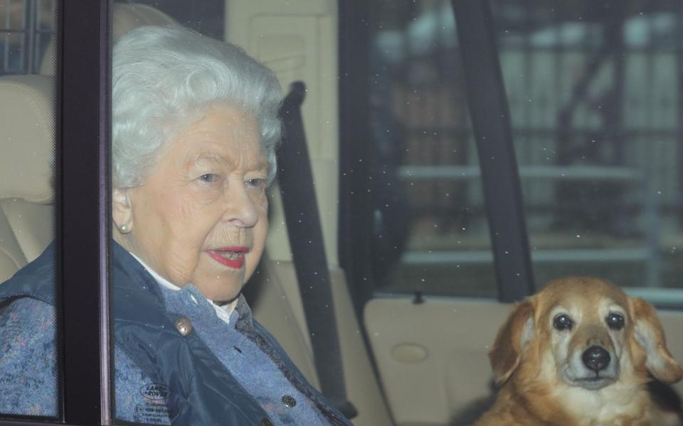 The Queen pictured with one of her corgis - Rebecca English