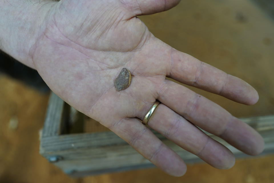 Conan Mills, a field technician for the University of Louisiana at Lafayette, shows a lithic flake, a piece of flint broken from a larger piece during the manufacture of tools, that he just found sifting at an archeological site in Kisatchie National Forest, La., Wednesday, June 7, 2023. This summer, archaeologists have been gingerly digging up the ground at the site in Vernon Parish to unearth and preserve the evidence of prehistoric occupation. The site was found by surveyors in 2003, according to the U.S. Forest Service. Hurricanes Laura and Delta uprooted trees and exposed some of the artifacts. Further damage has been done by looters making unauthorized digs. Forest officials say the site shows evidence of generations of people living in the area going back 12,000 years. (AP Photo/Gerald Herbert)