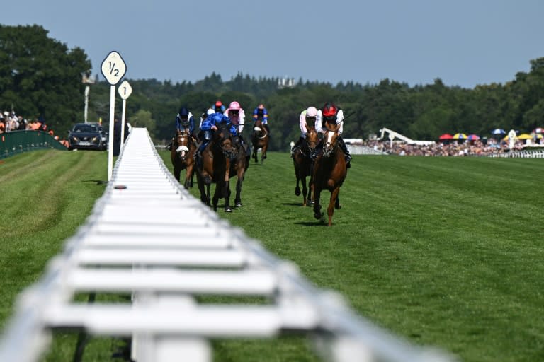 Ryan Moore riding Kyprios (R) wins Ascot Gold Cup after thrilling battle with Trawlerman (L) (JUSTIN TALLIS)