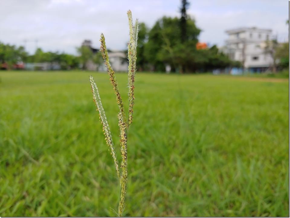 20180609_163903_HDR