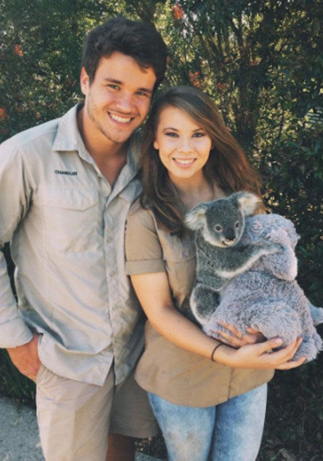 Koala cuddles