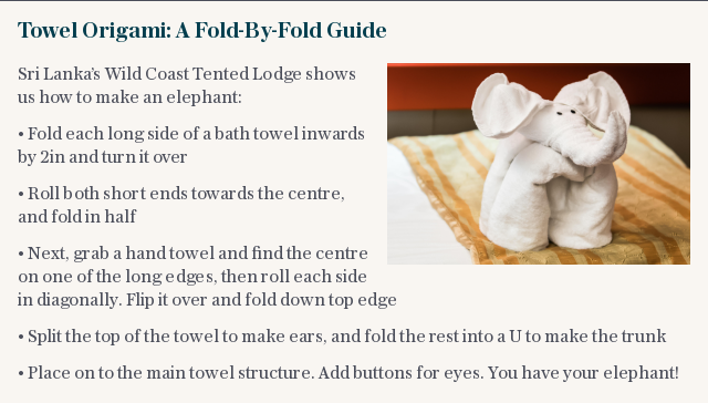 Towel Origami: A Fold-By-Fold Guide