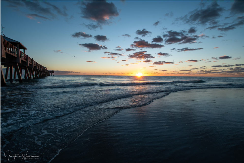 This photo by Jonathan Wasserman will be auctioned during the "Night for Natural Areas" at Twisted Trunk Brewing in Palm Beach Gardens on Saturday.