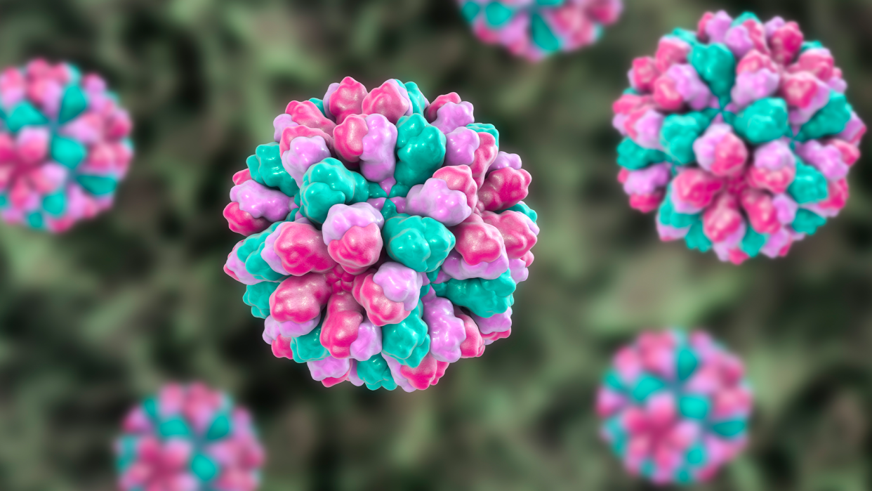 Norovirus closeup in pink and green particles