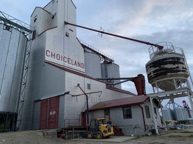 The town of Choiceland, located in northeast Saskatchewan, has a population of roughly 350 people.  (Guy Quenneville/CBC - image credit)