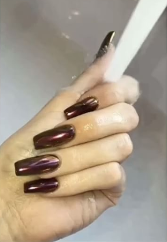 Kylie Jenner's Metallic Brown