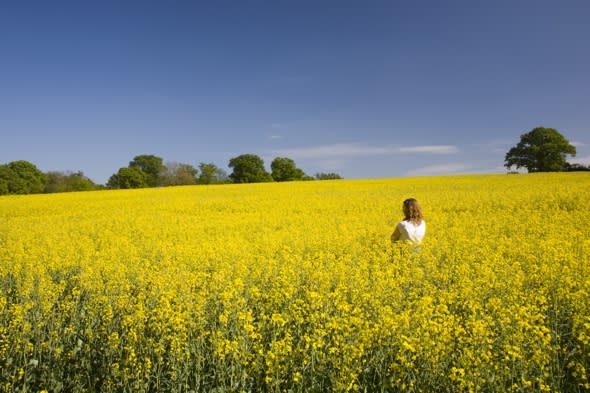 uk-weather-spring-sunshine-18C-temperatures