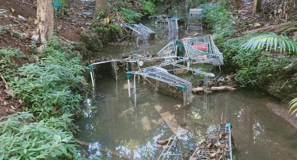 The trollies were in the creek behind the Woolworths store in Atherton, Queensland.