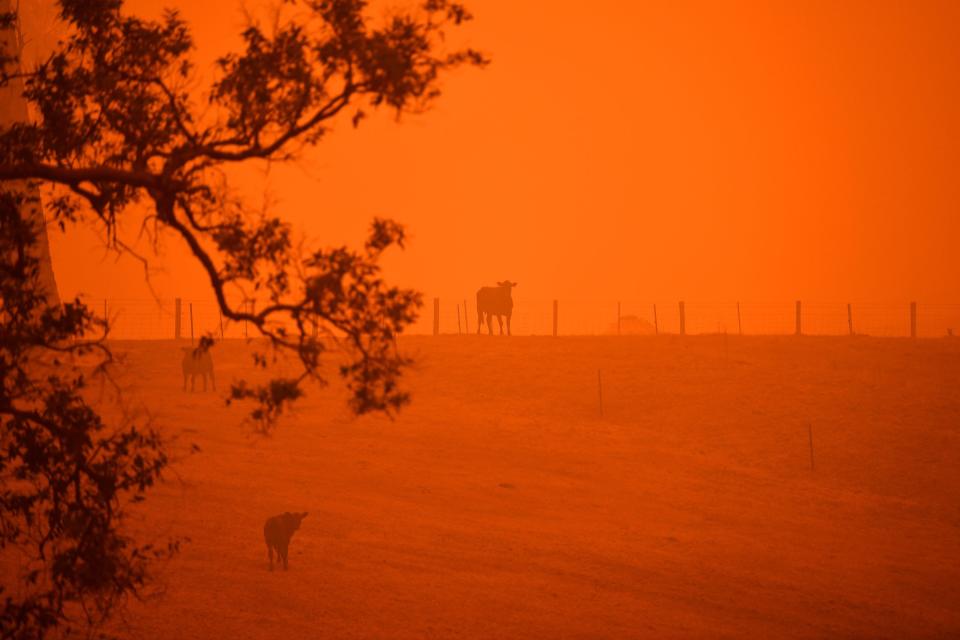 australia fires